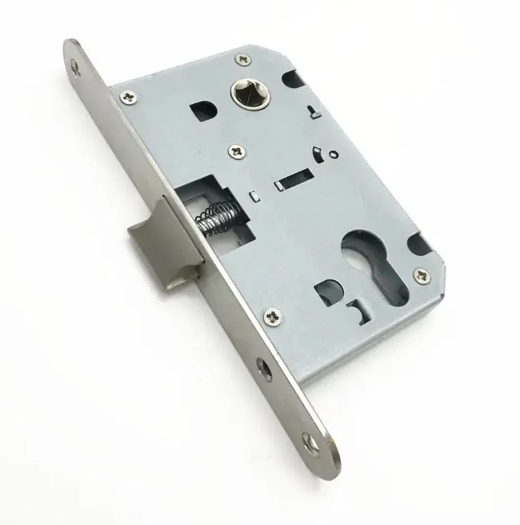Euro Profile Mortise Locking System 6