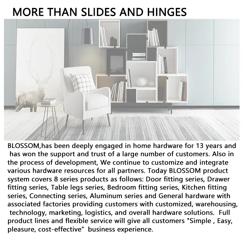 Door Closing Solution