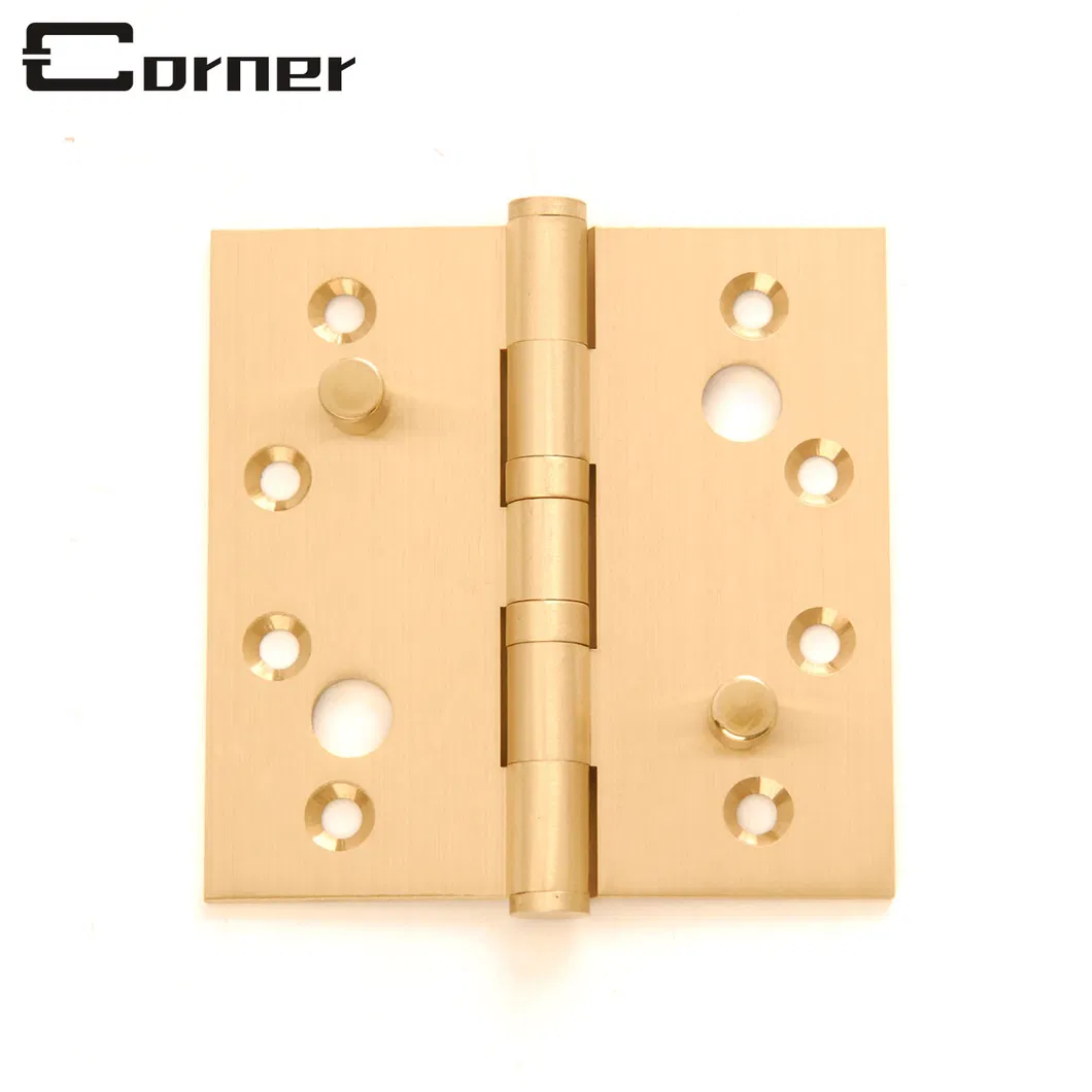 Security Hinge Detail