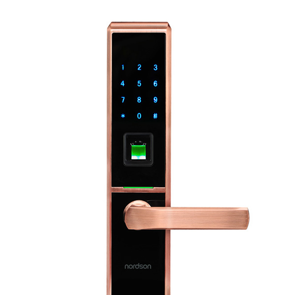 New Design Security -Fingerprint/Password/Card/Mechanical Key Fingerprint Smart Door Lock with Back up Power
