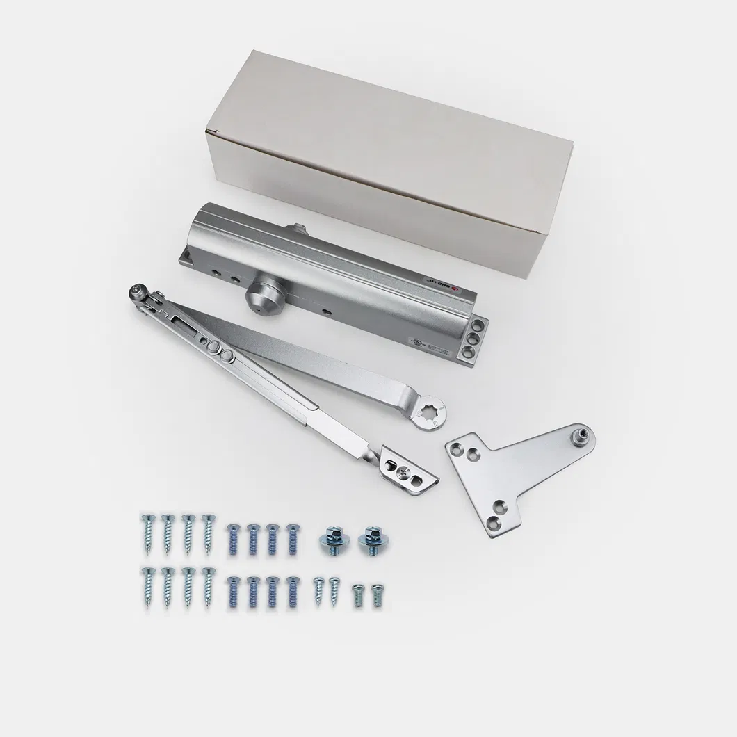 Door Closer Detail 3