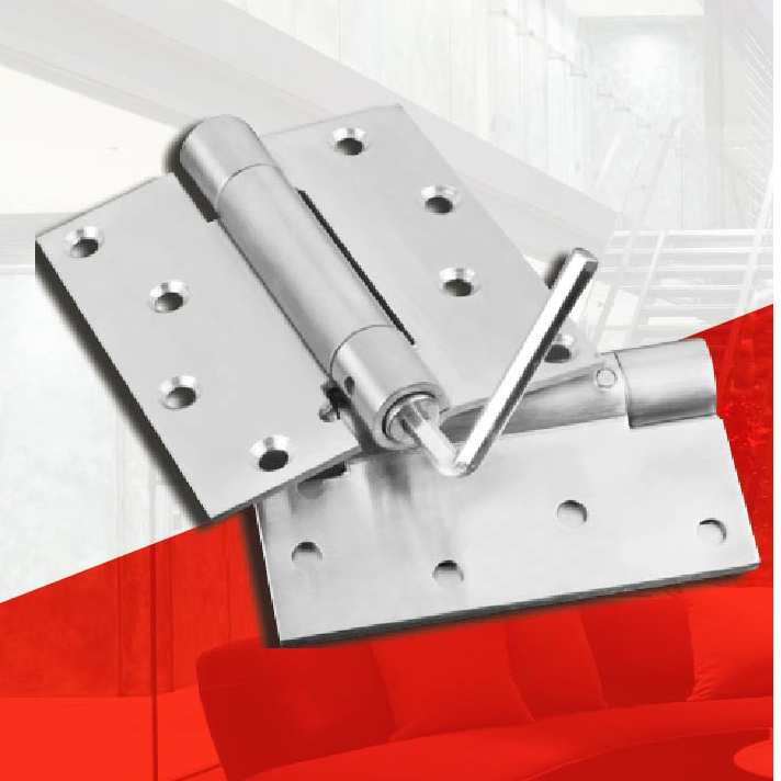 Hot Sale SUS304 Ball Bearing Door Double Action Spring Hinge