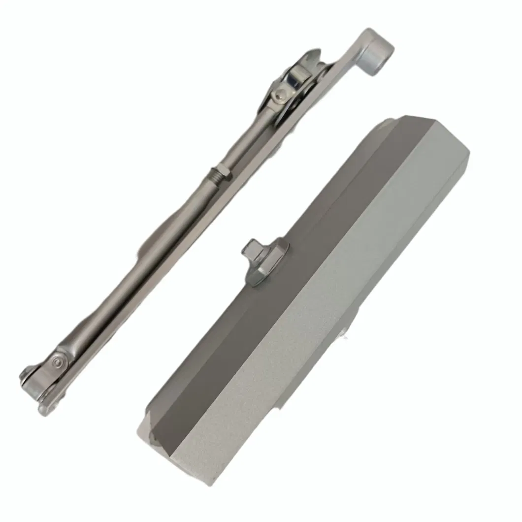 Door Closer Detail 2