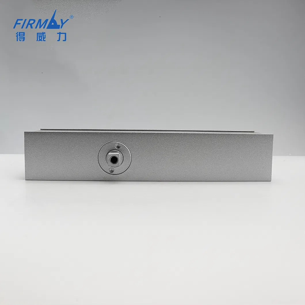 Hot Sale in Europe Furniture Hardware Accessories Automatic Door Closer Types Surface Mounted