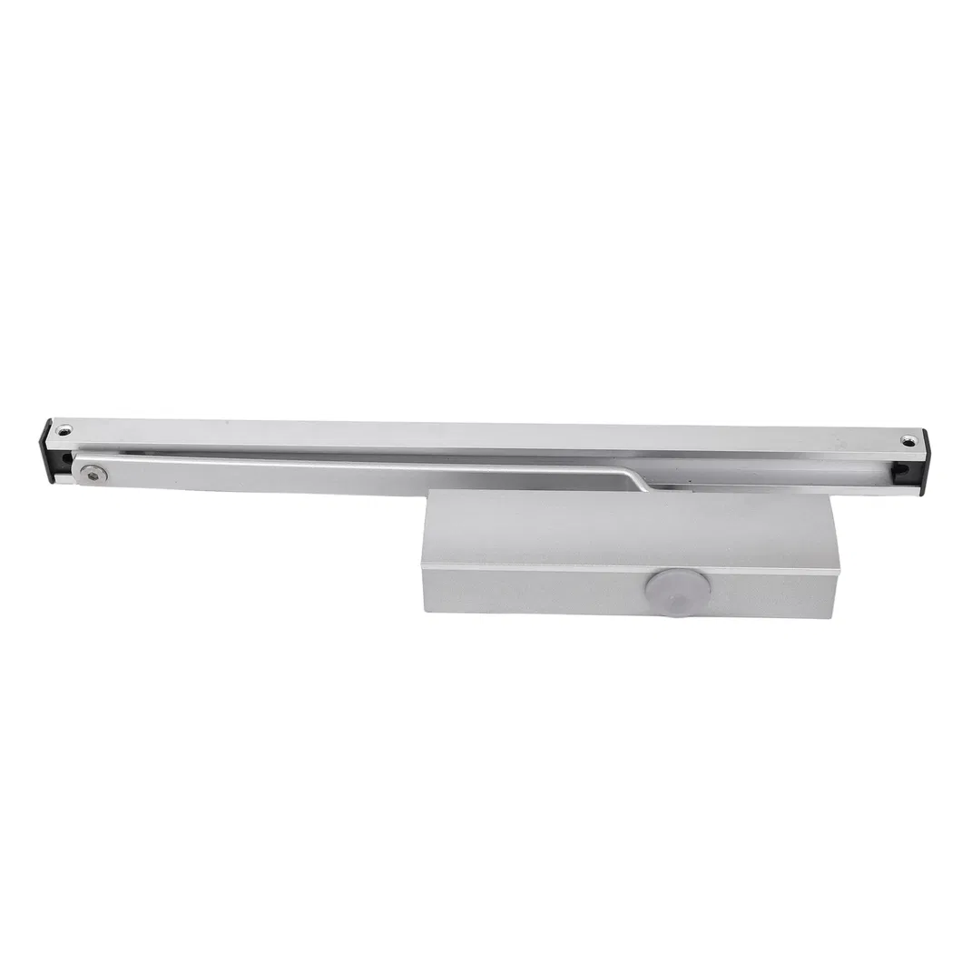 Concealed Door Closer Detail 6
