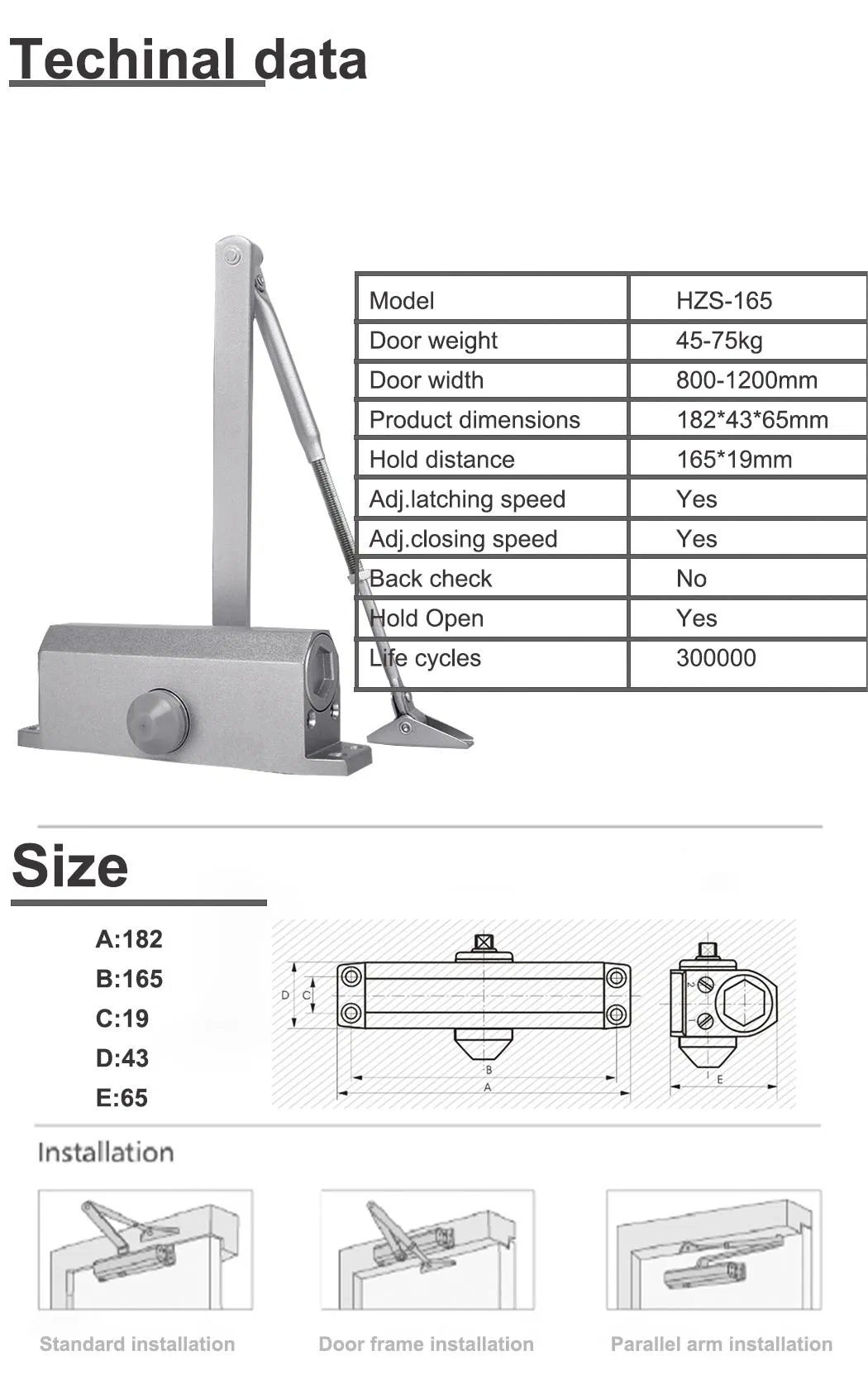 Door Closer Detail 2
