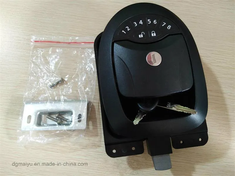 Lock Installation View