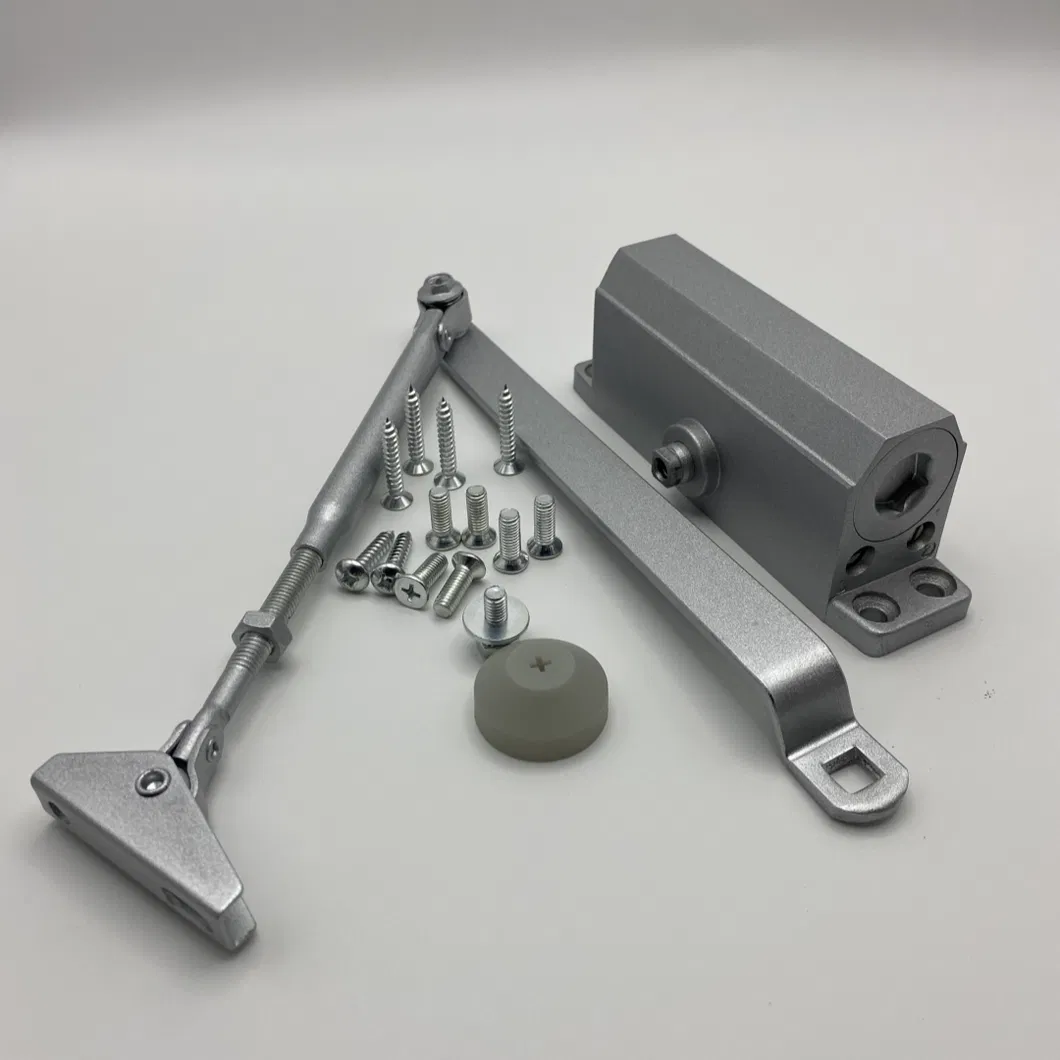 Door Closer Detail 1