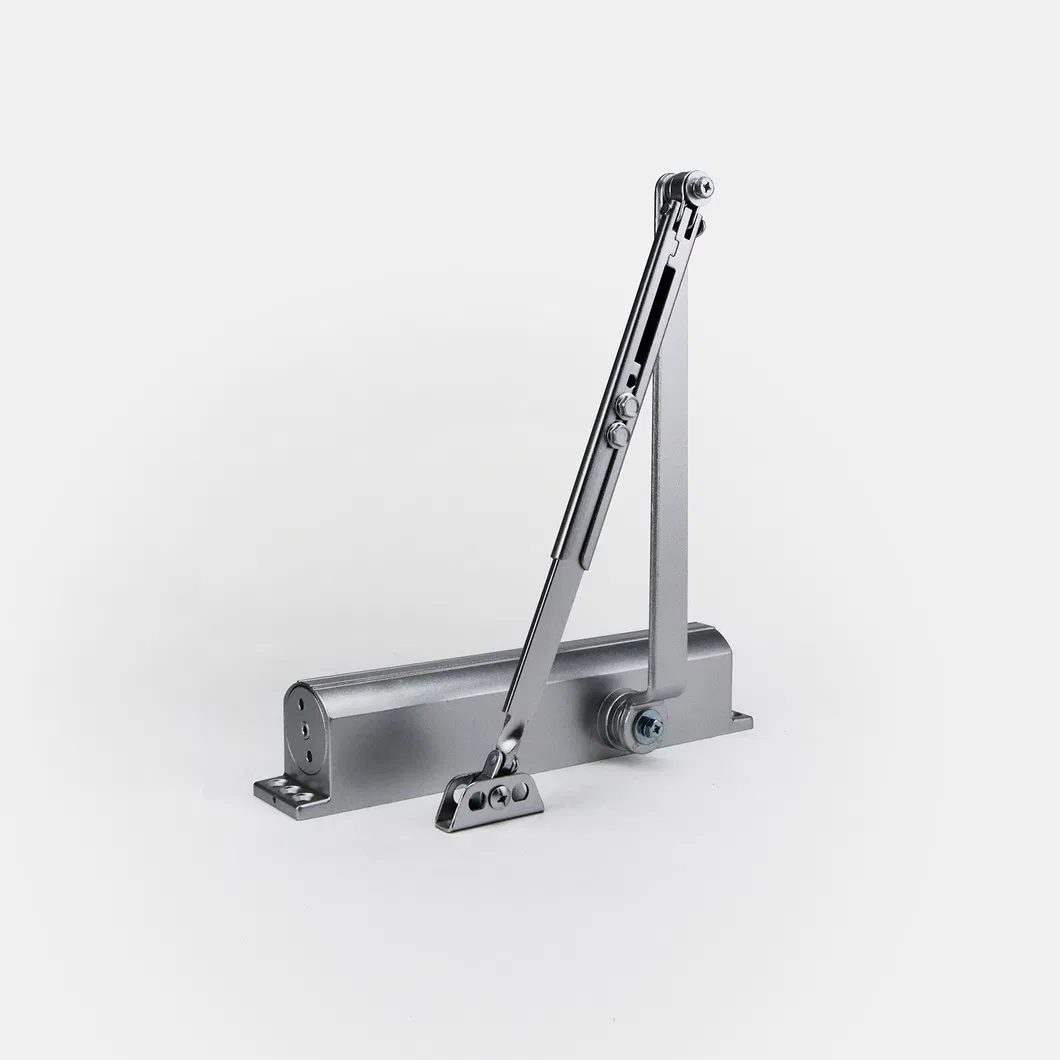 Door Closer Detail 2