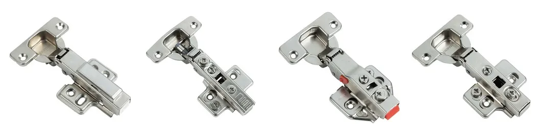 Concealed Hinge