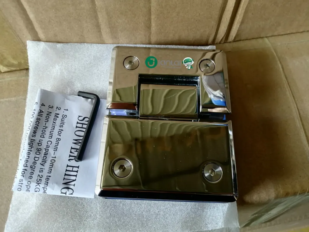 Glass Hinge Detail 1