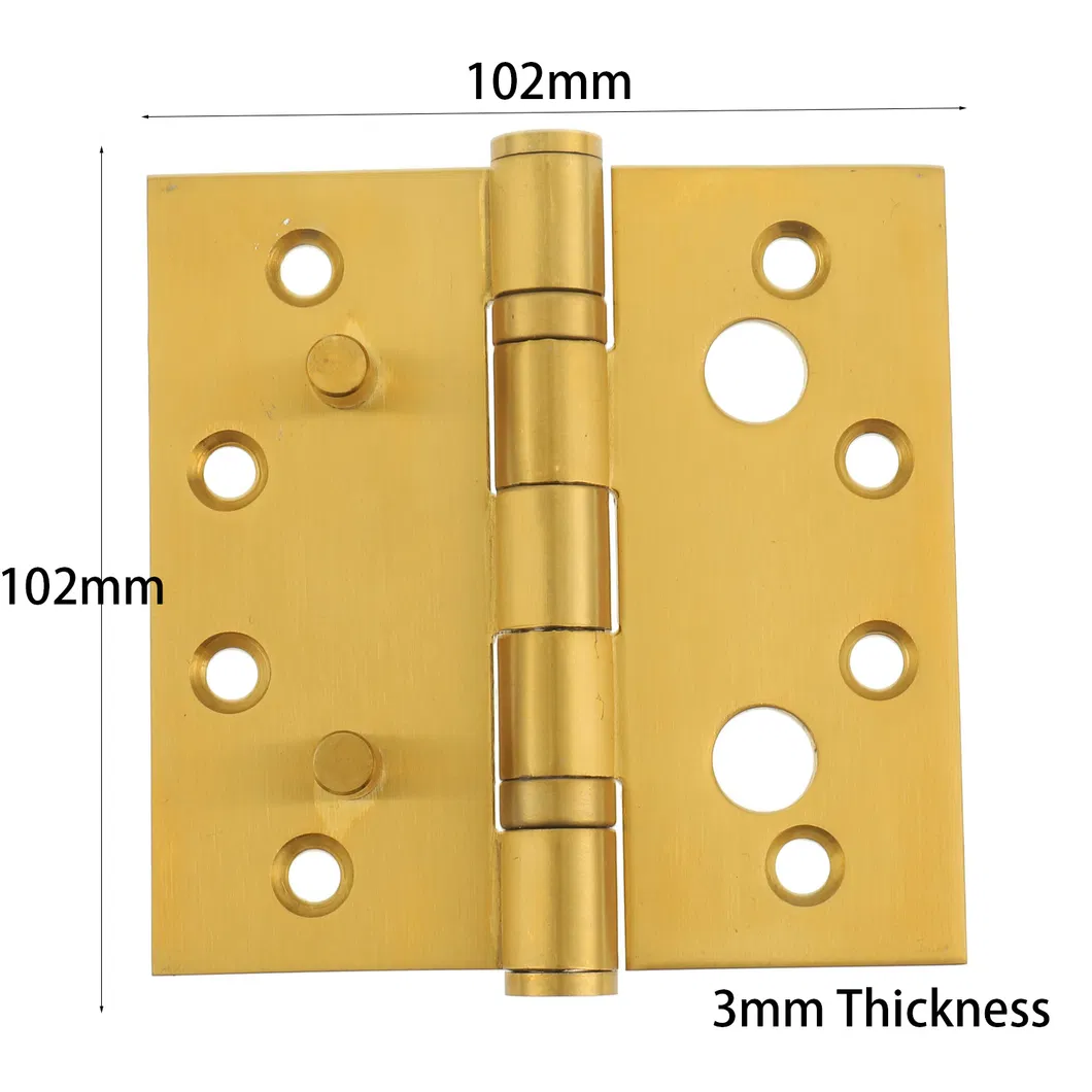 Security Hinge Detail