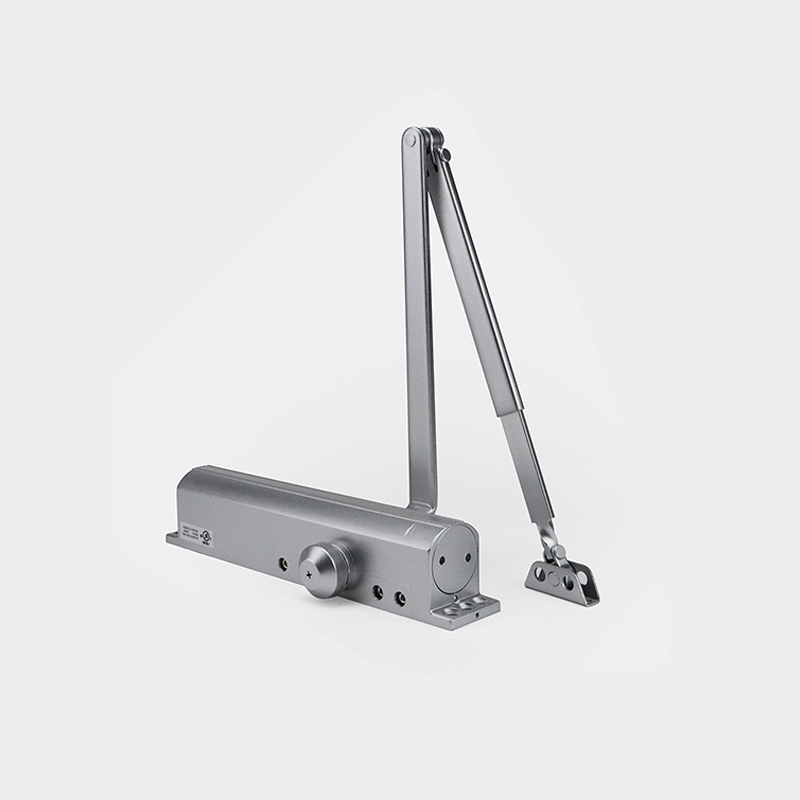 No-Digging Wooden Door Hydraulic Patch Fitting Floor Spring Door Closer with Accessories