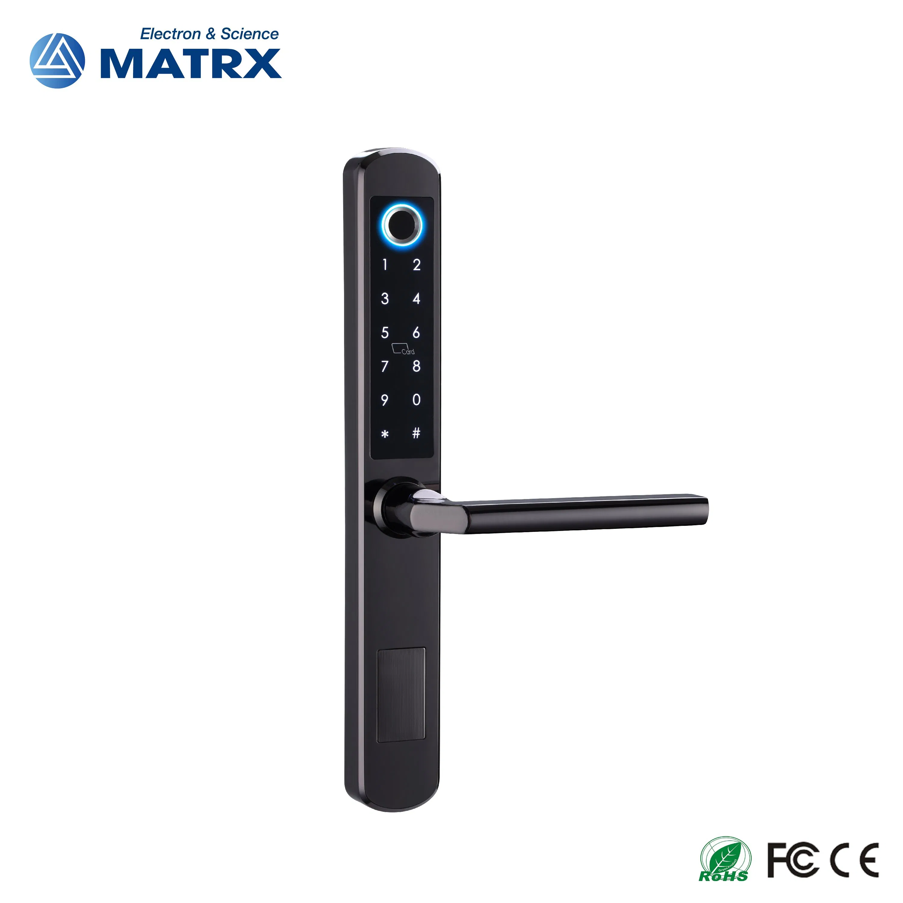 Stainless Steel 304 Fingerprint Password Keyless Entry Smart Lock Tuya APP