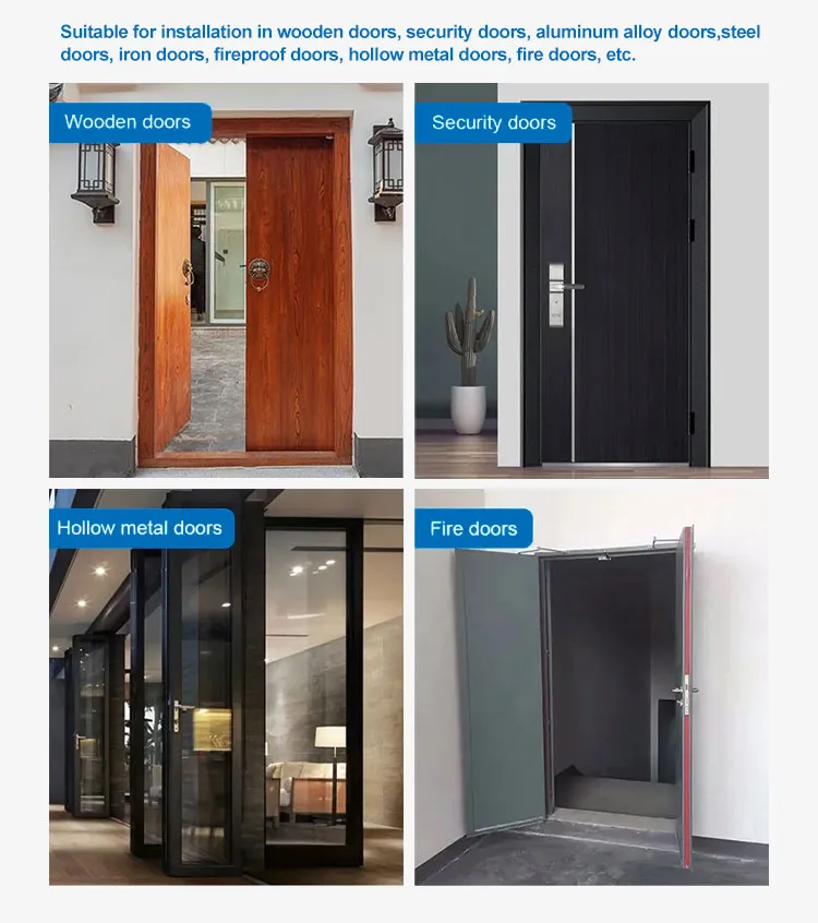 Door Closer Detail 6