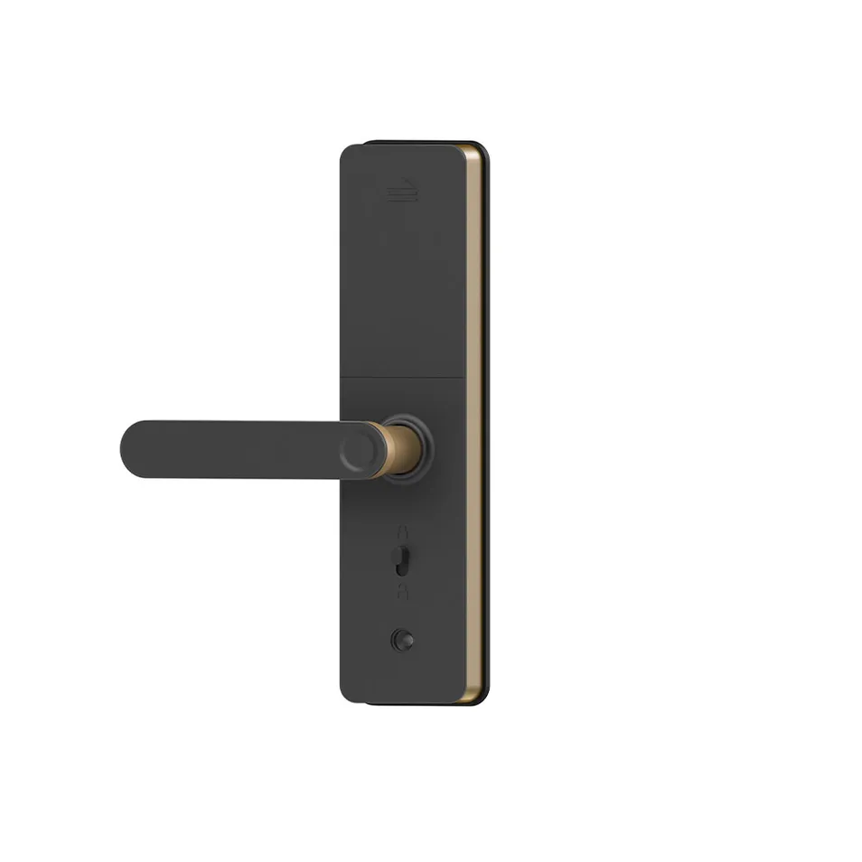 Advanced Lock Security