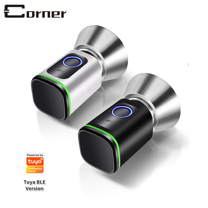 Mechanical Key Backup USB Charging Port Support Electronic Keyless APP Function Smart Door Lock