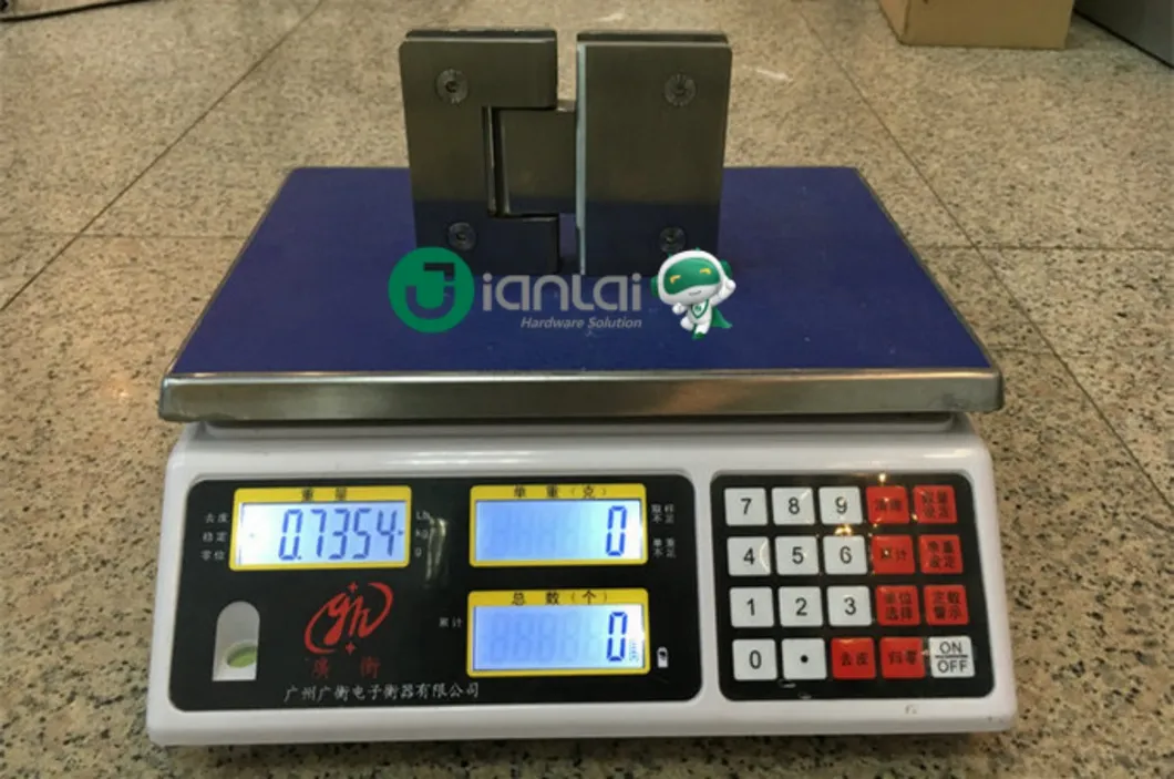 Glass Hinge Detail 2