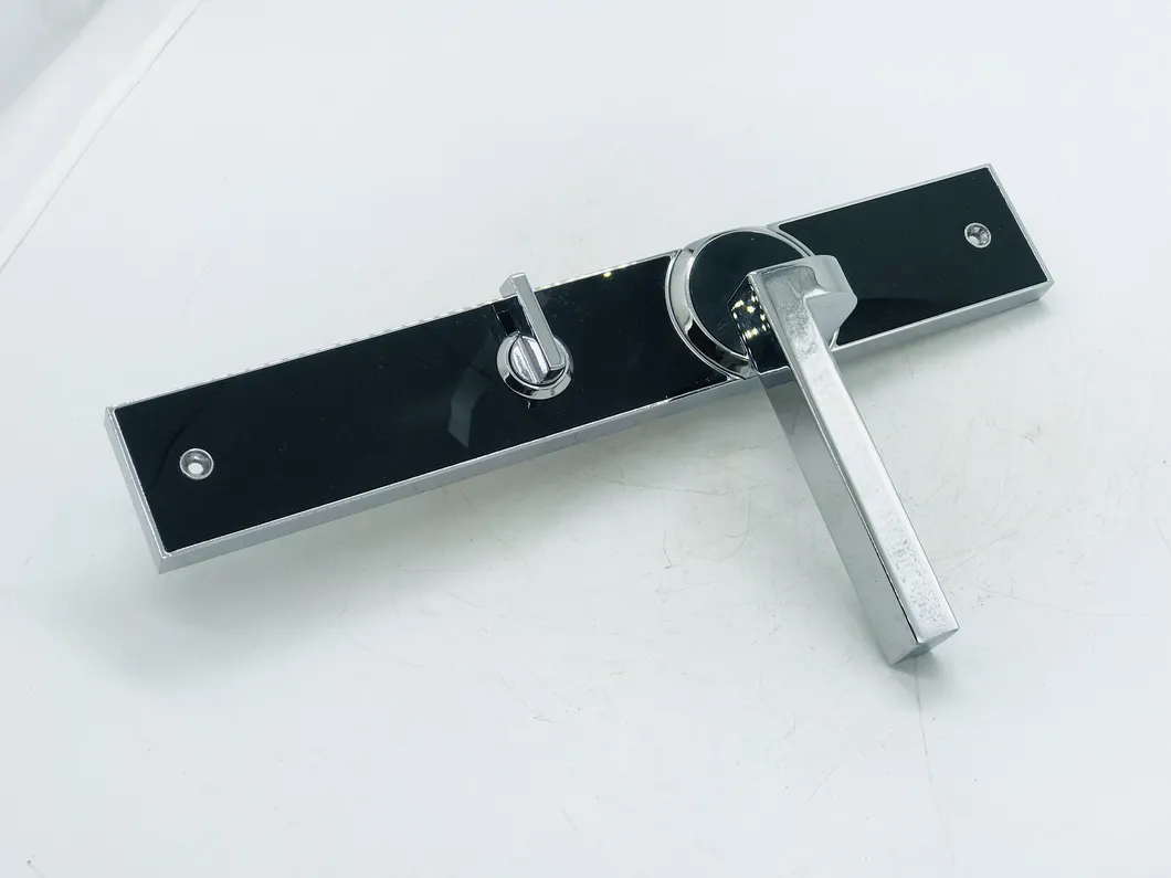 Hotel Lock Design