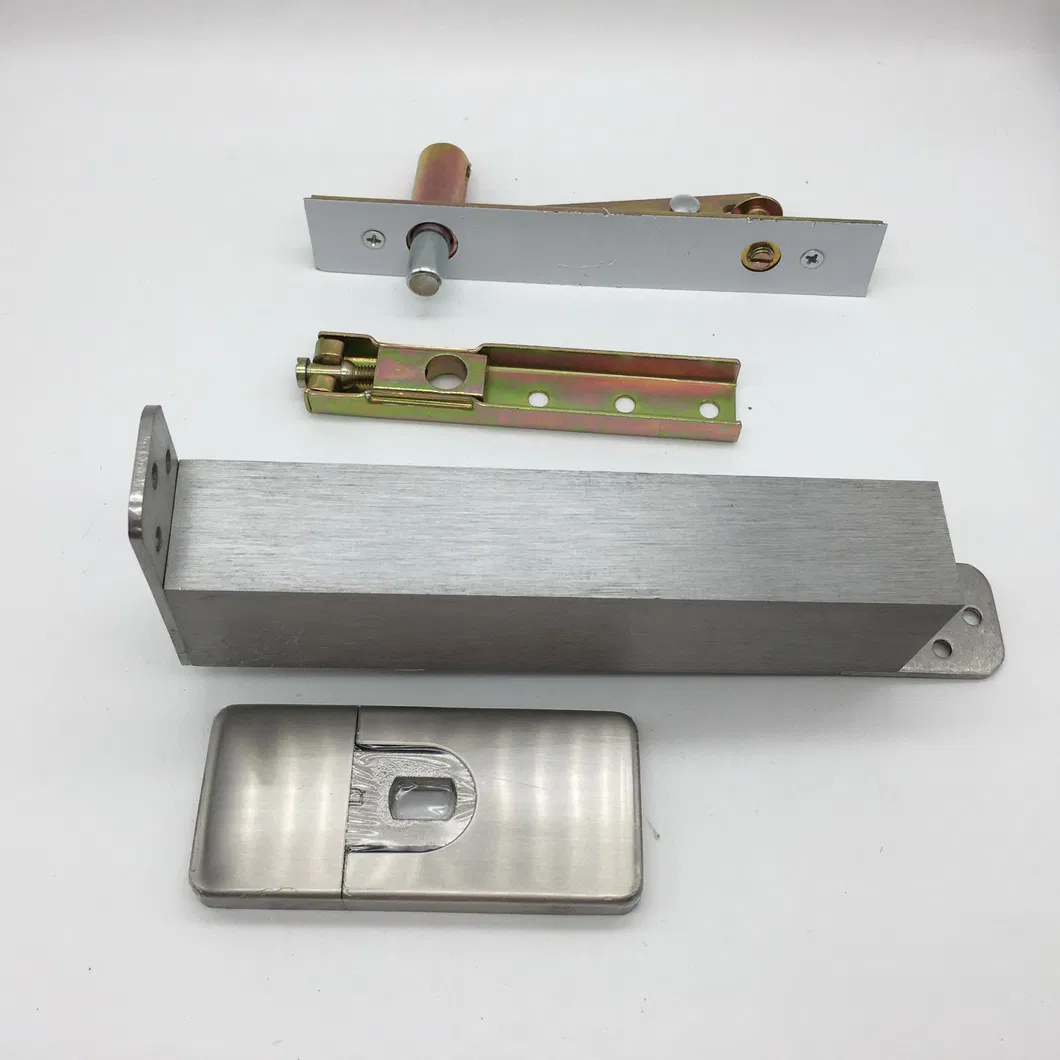 Floor Spring Closer 2