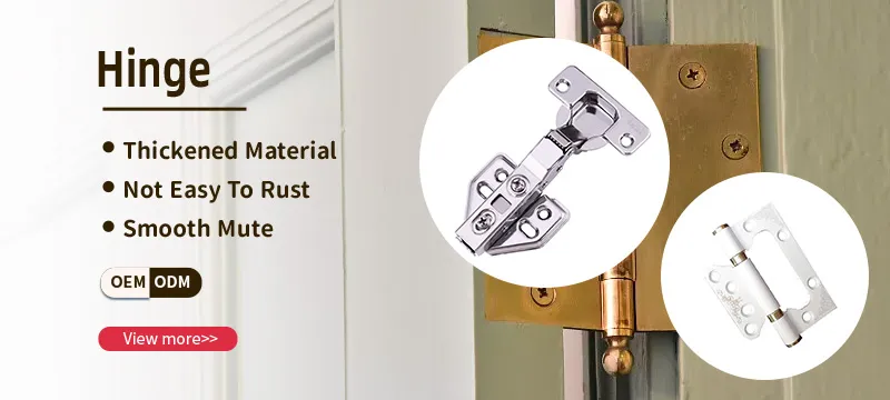 Door Hinge Overview