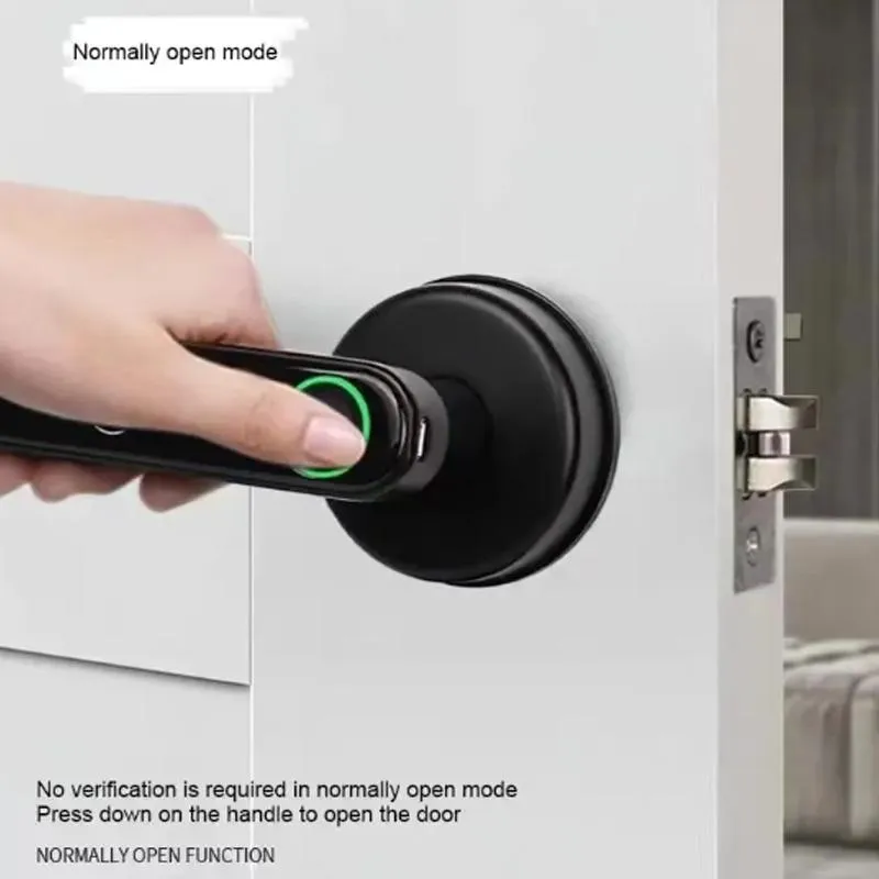 Smart Lock with Handle