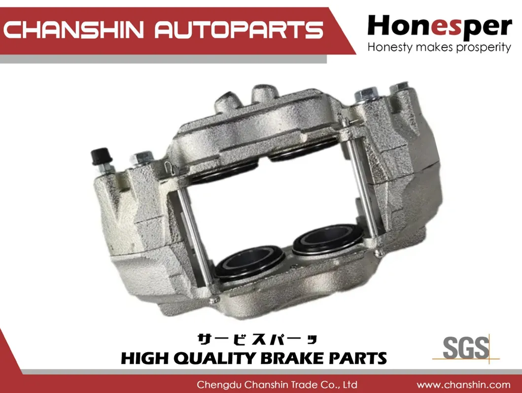 Brake Caliper Detail 4