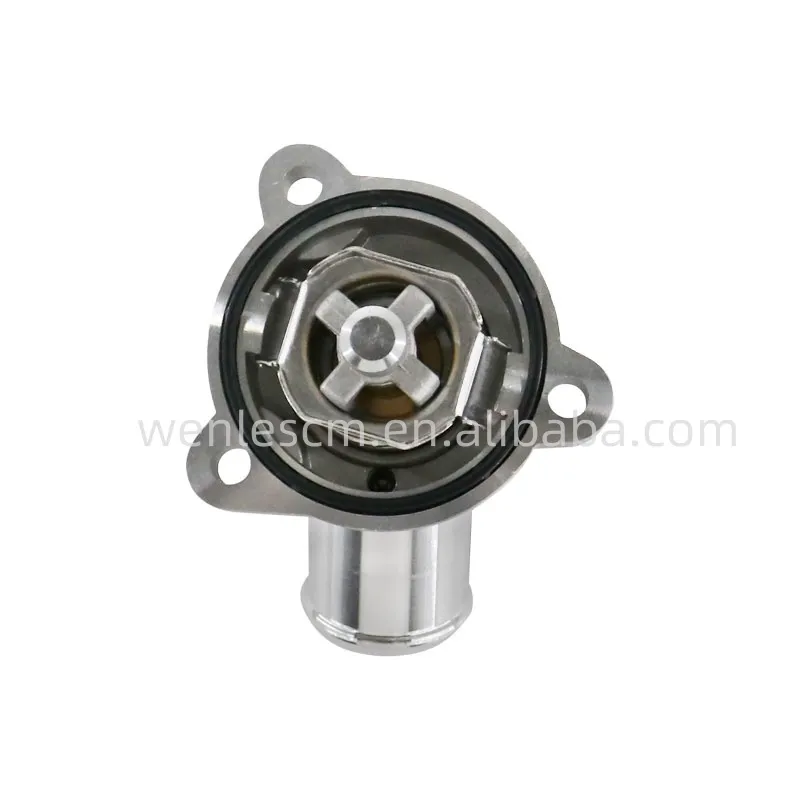 Thermostat Detail 2