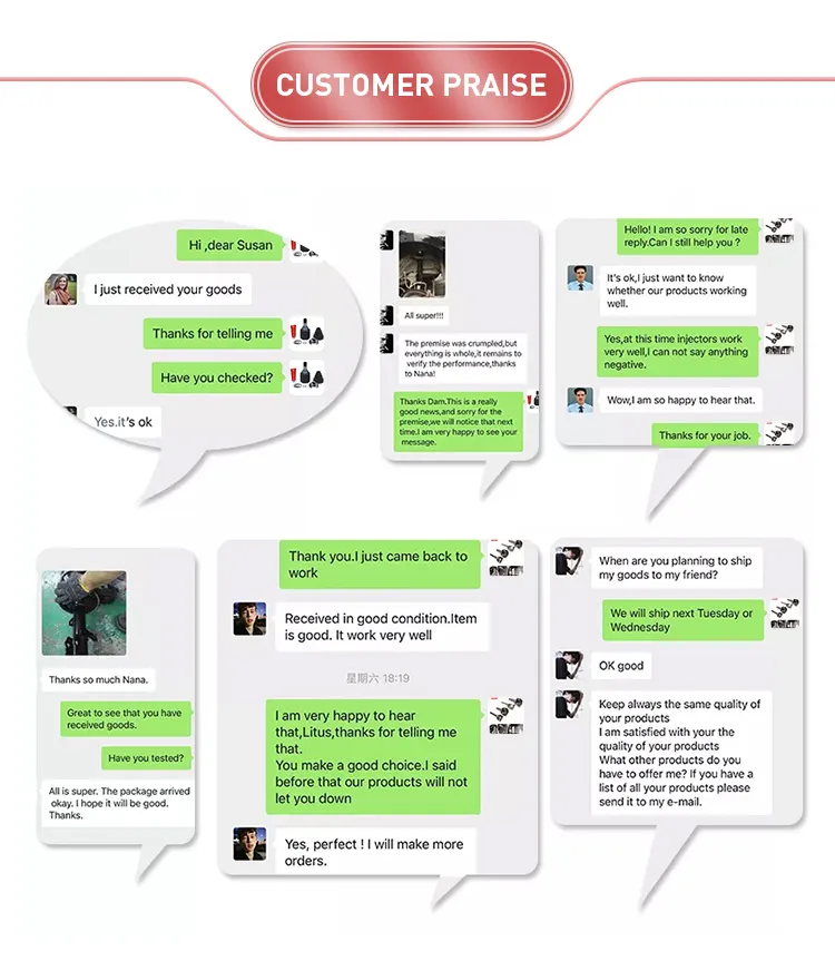 Customer Review