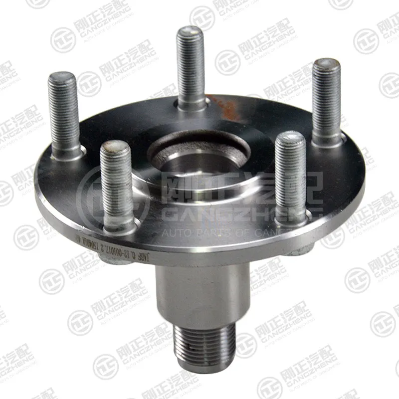 Wheel Hub Bearing Detail