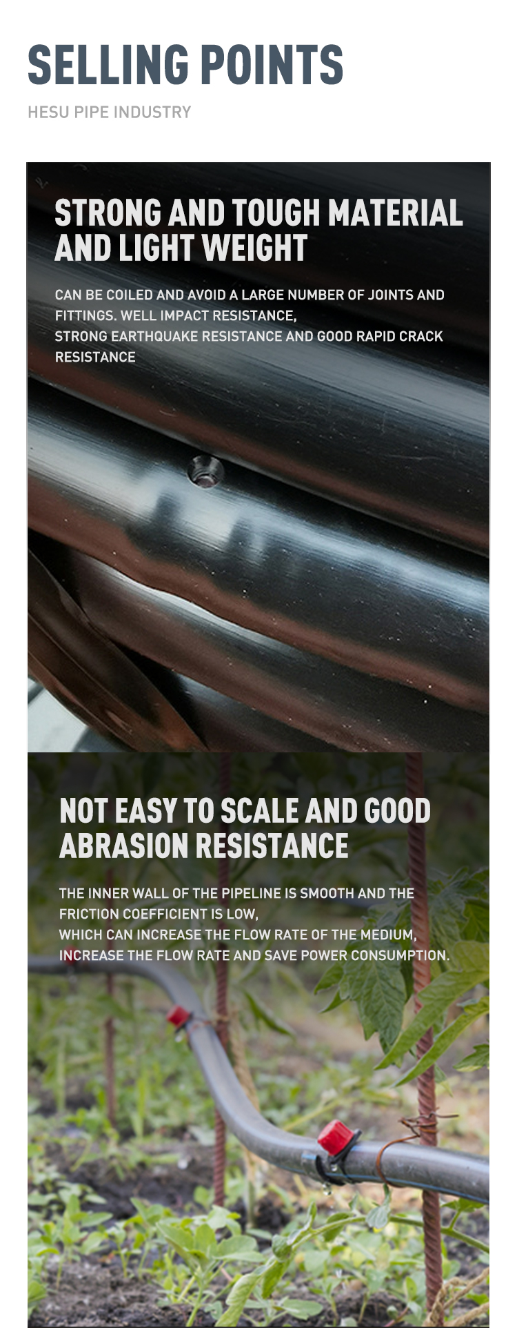 Product Description Image