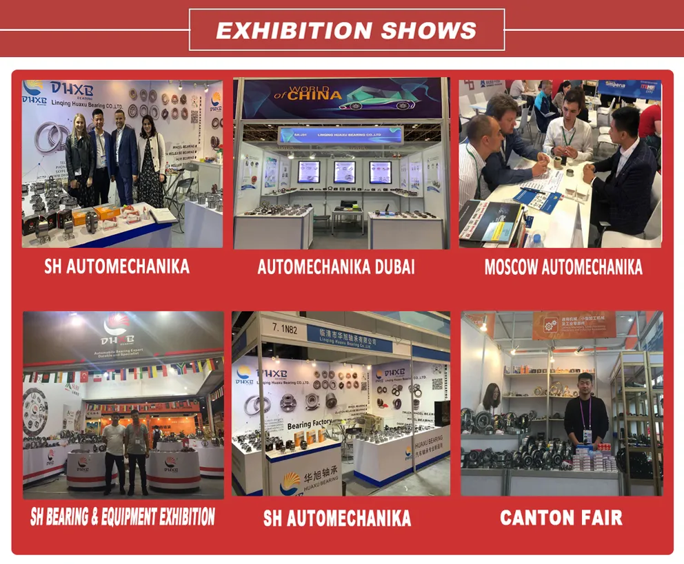 Exhibition Show