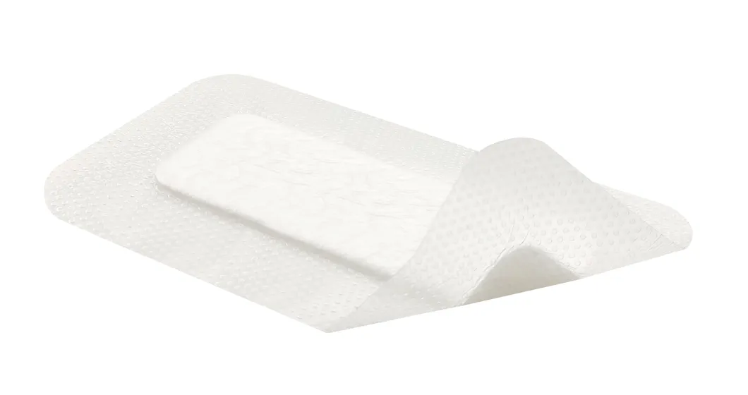 Silicone Dressing Detail 2