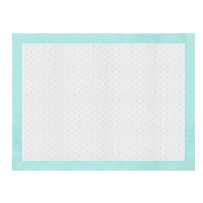 OEM Manufacturer Prevent Dirtying Dry Non-Woven Pet Training Underpad Wholesale Sanitary Products