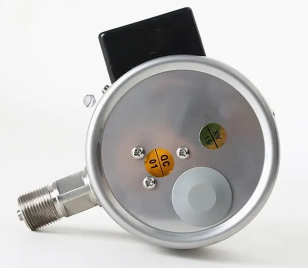 Pressure Gauge Rear View