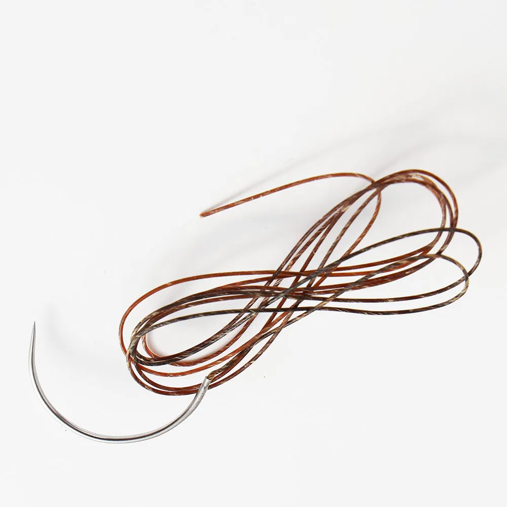 High-Strength Surgical Suture Absorbable or Non-Absorbable PGA Silk Catgut Polyester Nylon Surgical Suture Thread with Needle