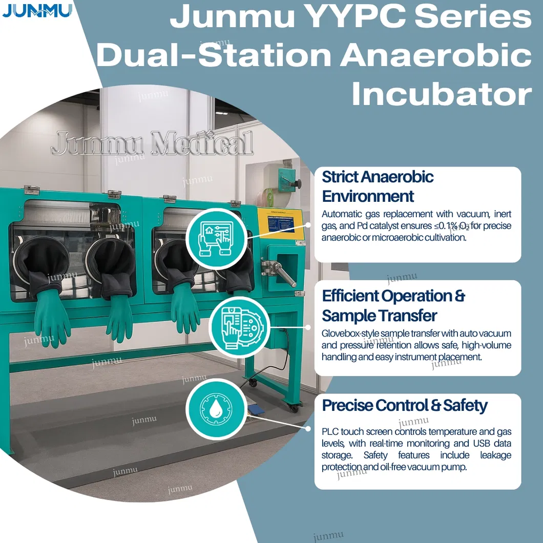 Anaerobic Workstation View 2