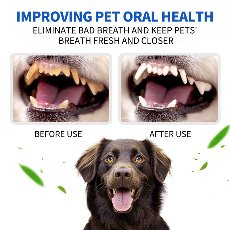 Organic Seaweed Green Tea Powder for Pet Dental Care