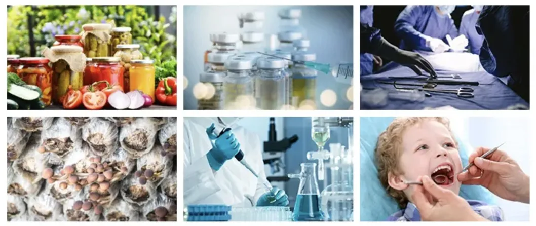 Sterilizer Application