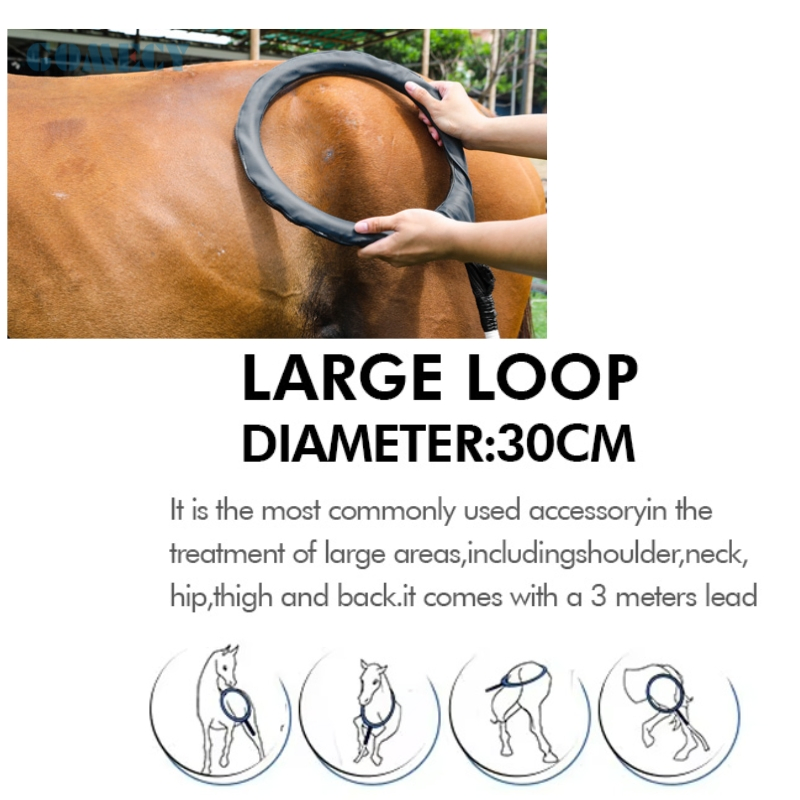 Noninvasive Pulsed Magnetic Therapy System for Blood Circulation and Tissue Repair