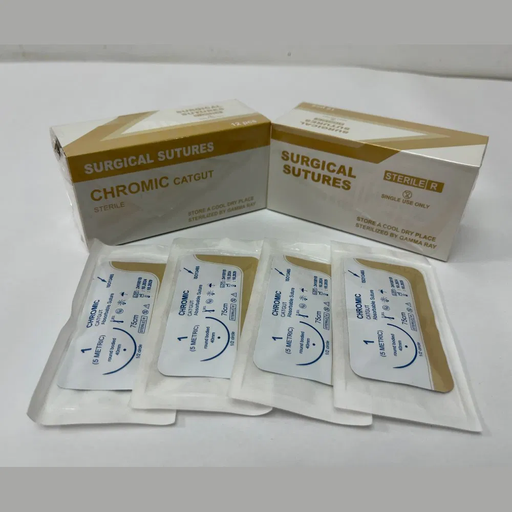High-Quality Nylon Suture Pds Surgical Suture Set with Needle for Absorbable Medical Wound Closure and Healing