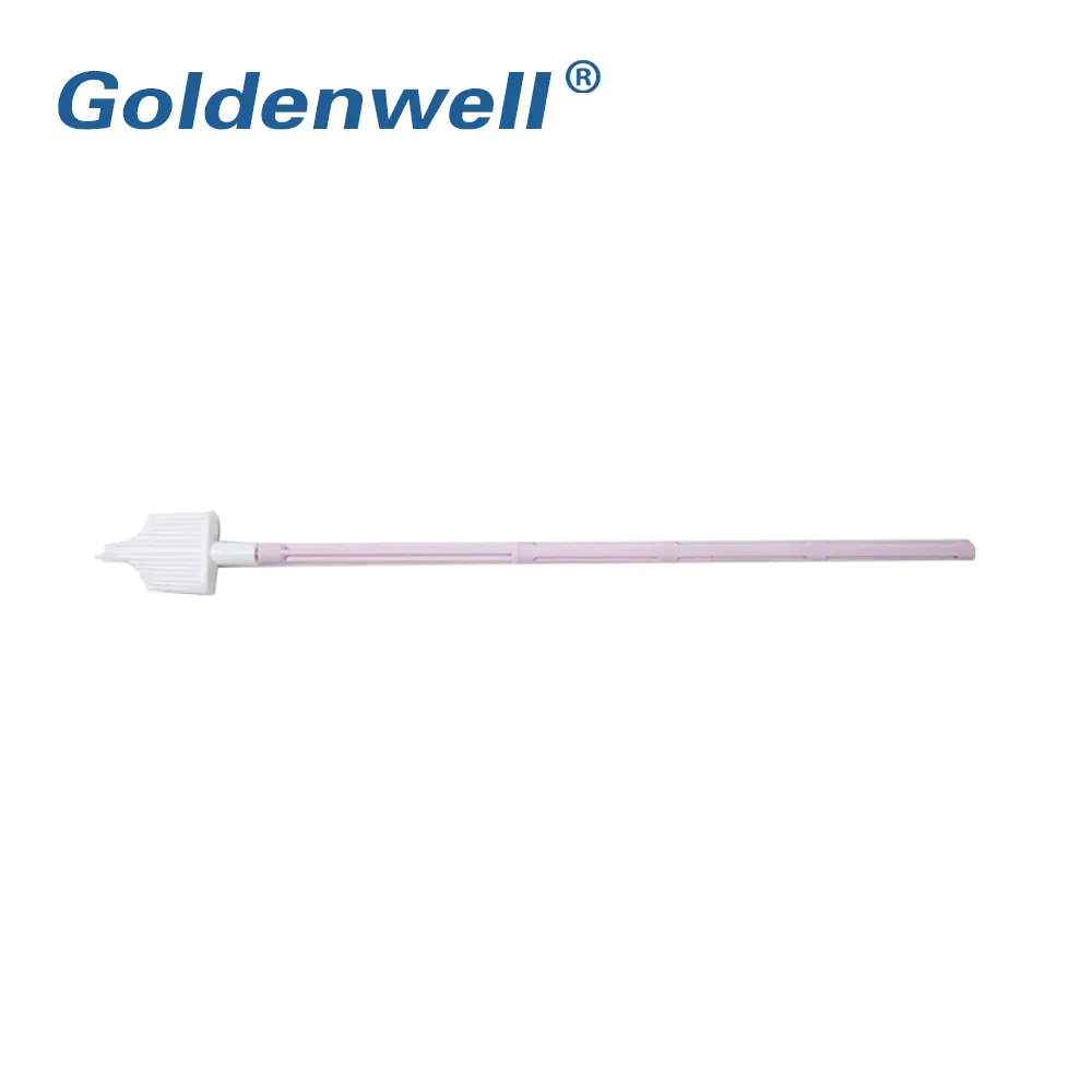 Medical Gynecological Diagnostic Test Swab Cervical Brush for Women Examination