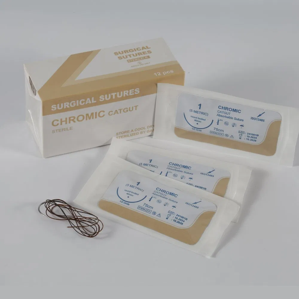 High-Quality Nylon Suture Pds Surgical Suture Set with Needle for Absorbable Medical Wound Closure and Healing