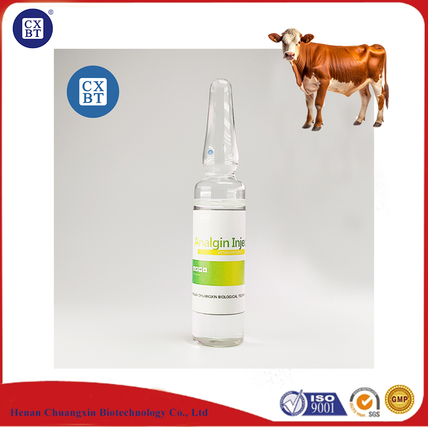 Comprehensive Pre and Post Operative Care for Pets