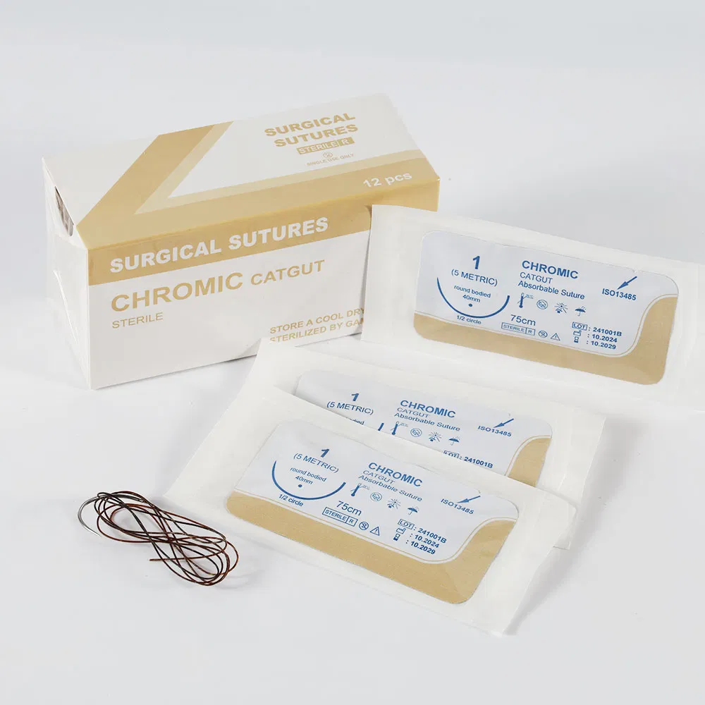 Disposable Veterinary Medical Surgical Absorbable Polyglycolic Acid PGA Eo Sterilized Sutures Thread with Needle for Animal