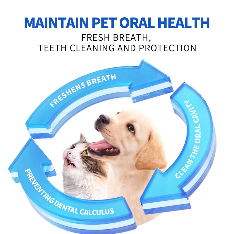 Organic Seaweed Green Tea Powder for Pet Dental Care