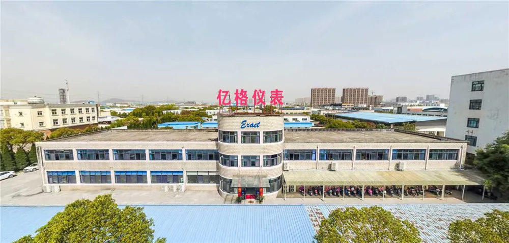 Diaphragm Pressure Gauge