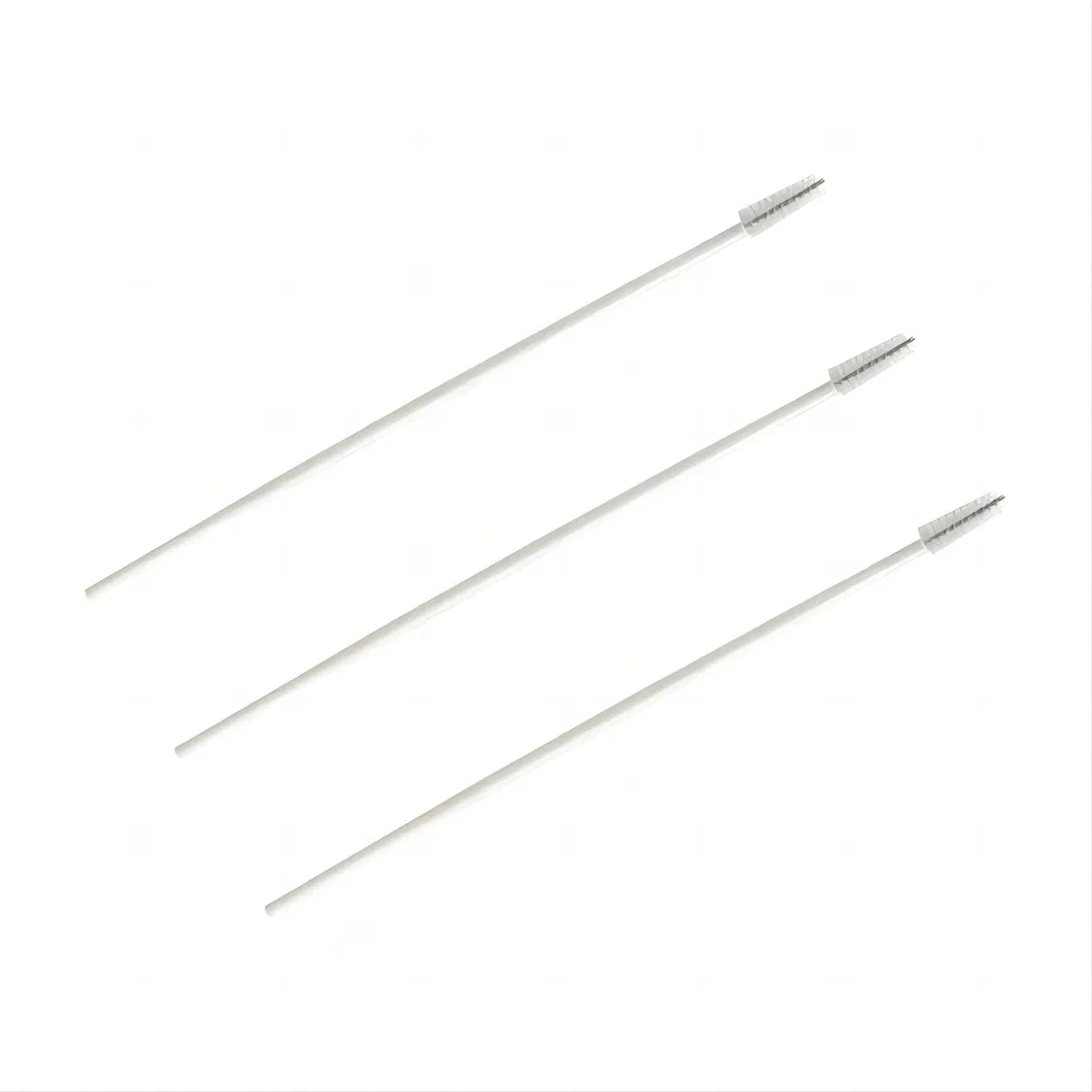 Cervical Cytology Brush