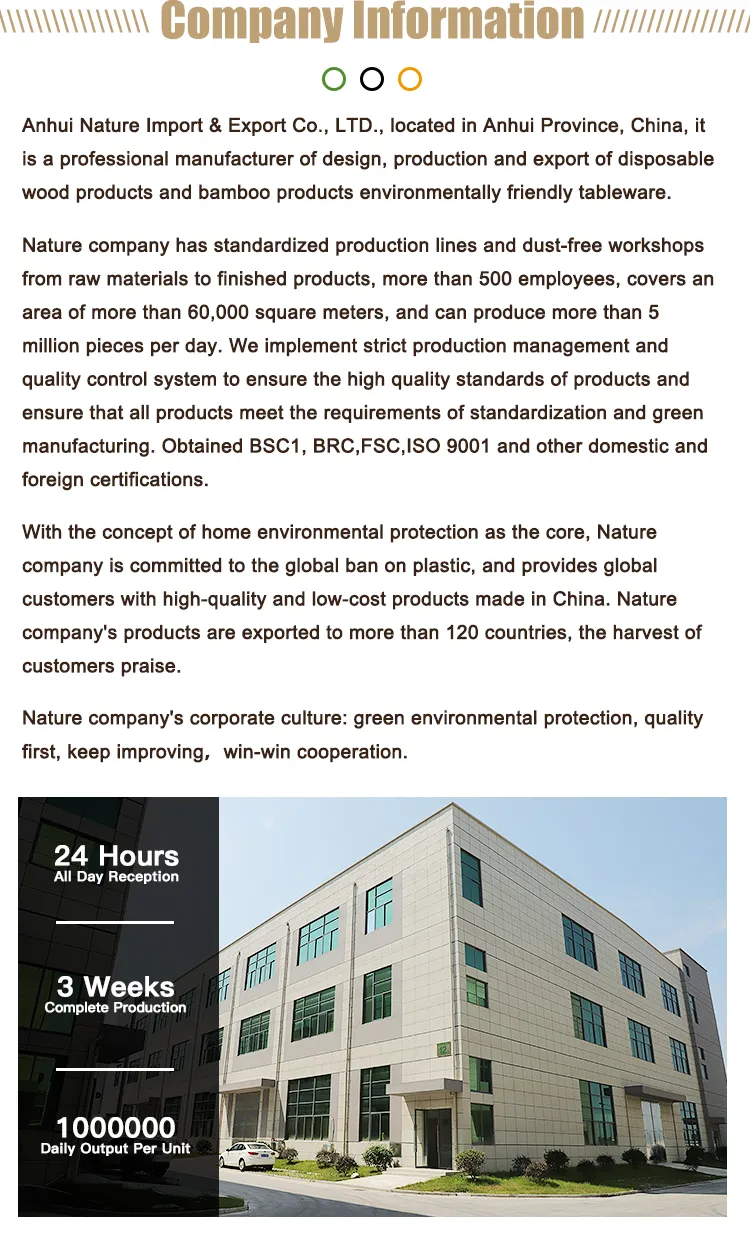 Manufacturing Process