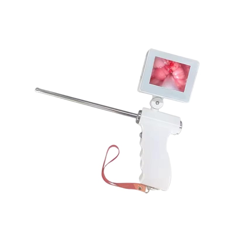 Innovative Insemination Solutions for Farm and Pet Animals